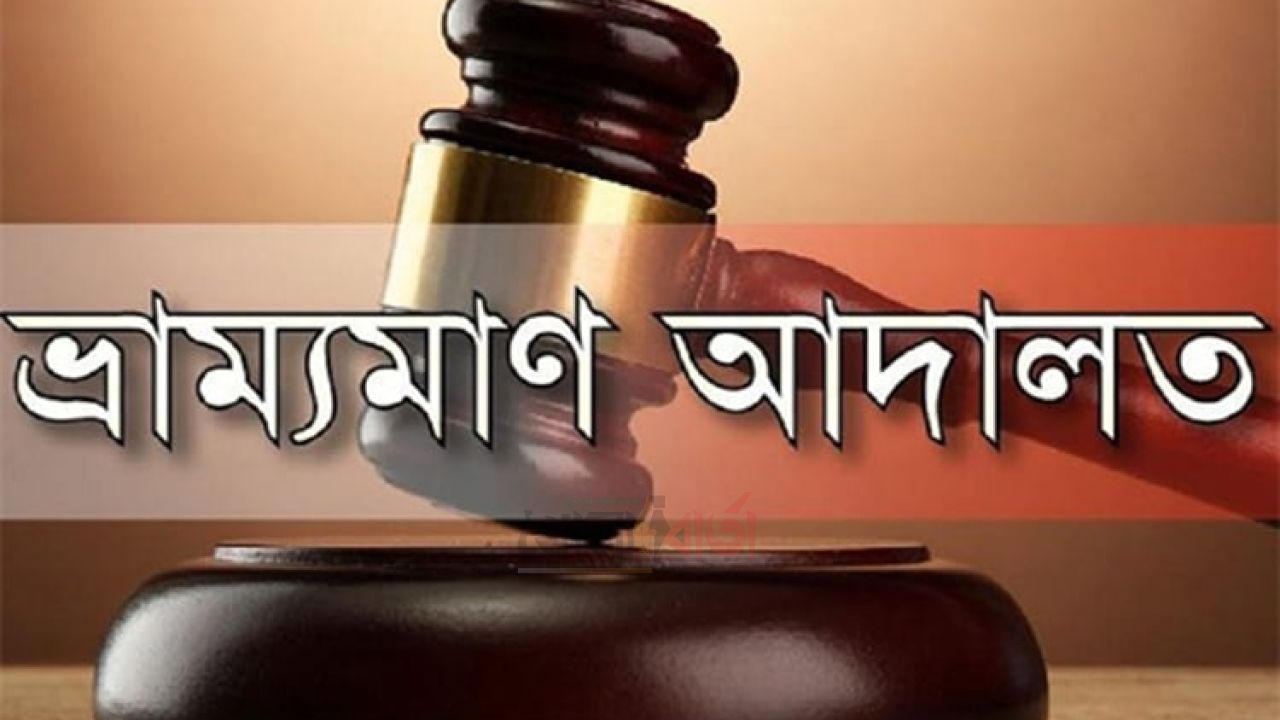 চরভদ্রাসনে রাস্তার ধারে গাছের গুঁড়ি রাখায় ভ্রাম্যমাণ আদালতের জরিমানা