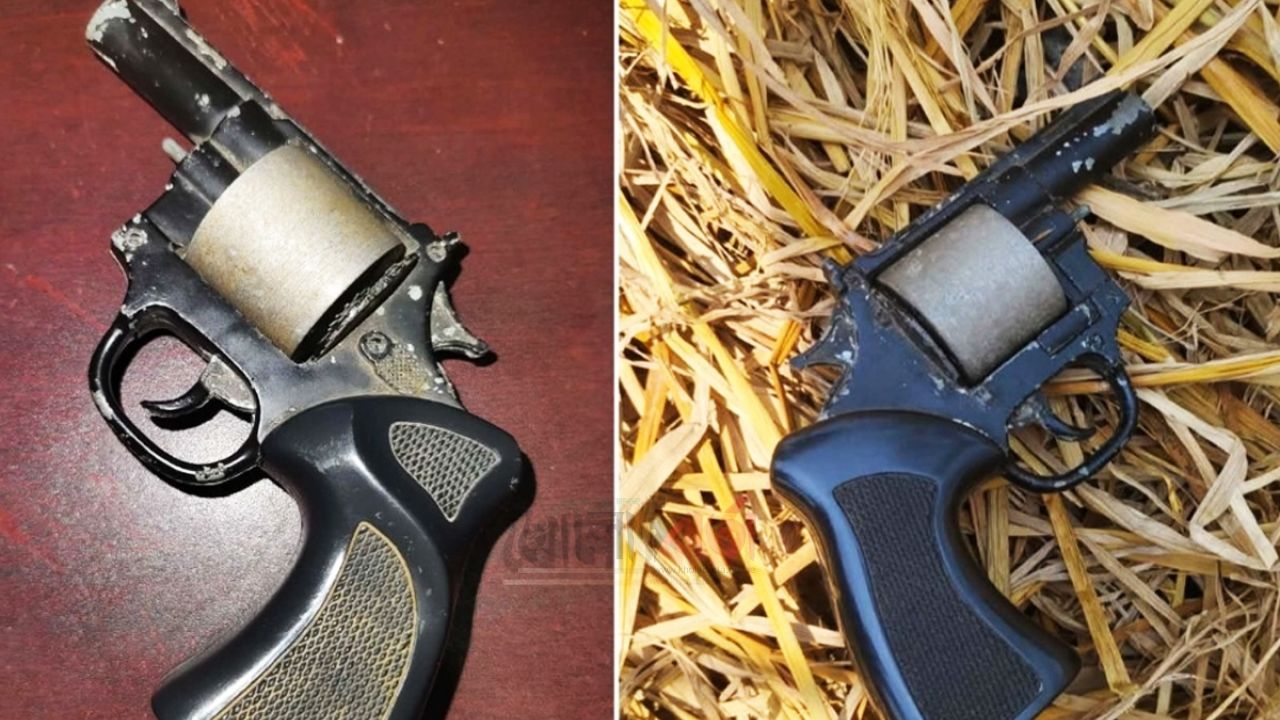 বেলকুচিতে খড়ের পালা থেকে বিদেশি রিভলবার উদ্ধার