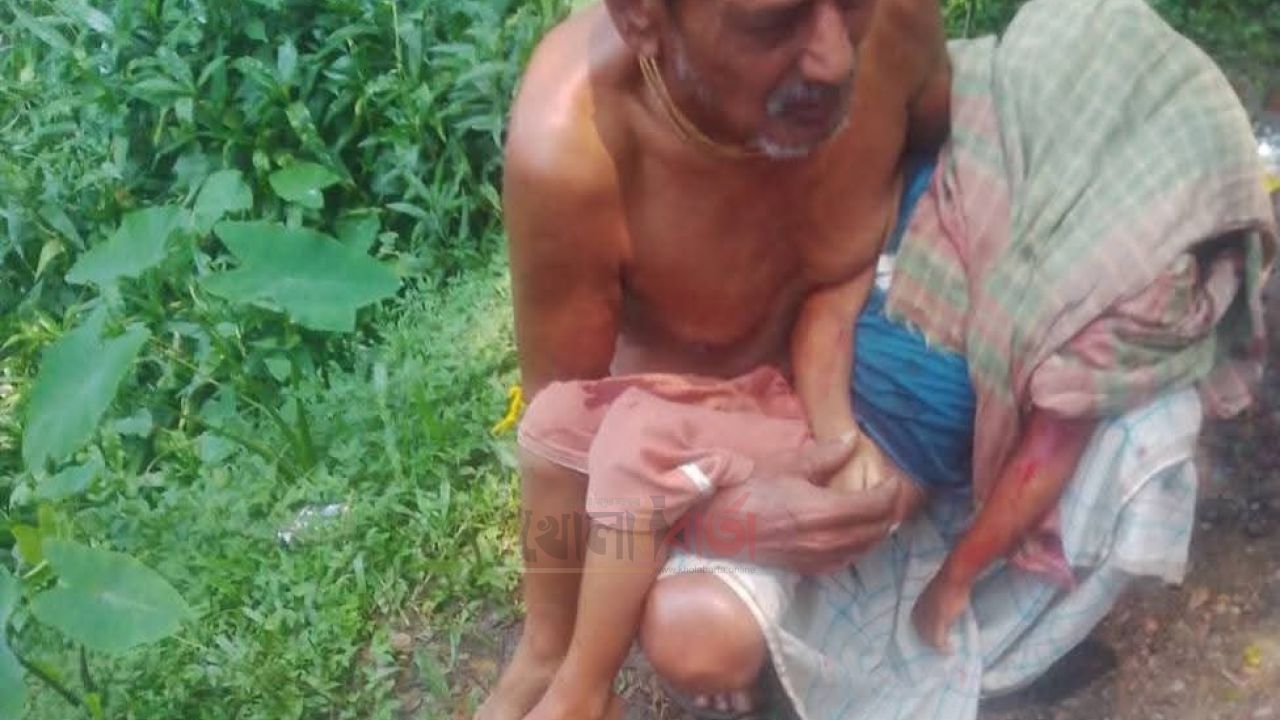 শান্তিগঞ্জে শোকের ছায়া, কুরিয়ার ভ্যান কেড়ে নিল শিশুর জীবন