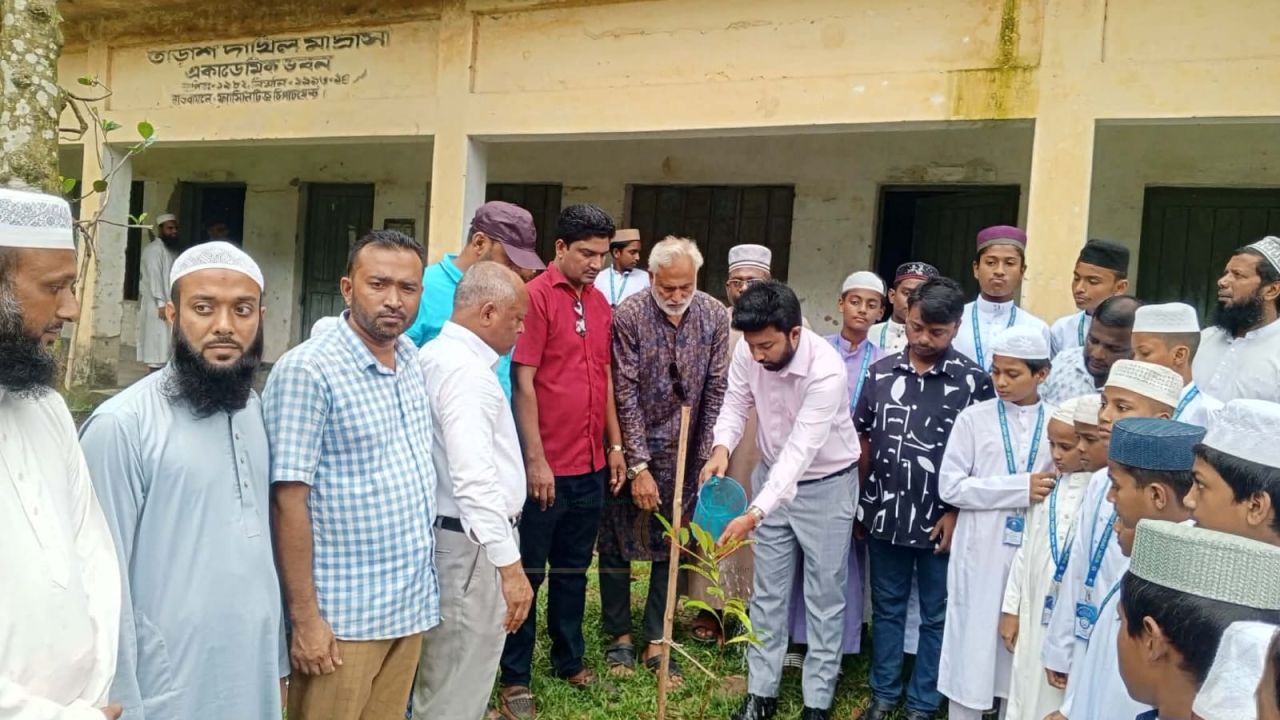 আনন্দ টিভির এমডির জন্মদিনে তাড়াশে বৃক্ষরোপণ কর্মসূচি